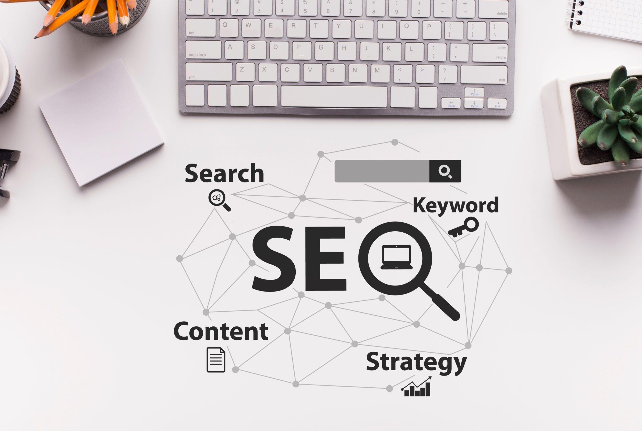 SEO Search