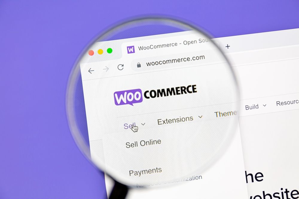 wordpress ecommerce