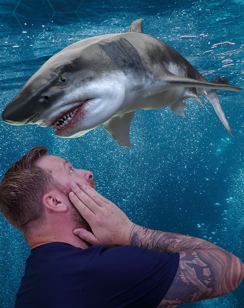 nick quirk funny headshot