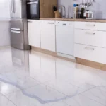 SEO for Water Damage