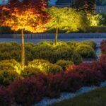 landscape lighting